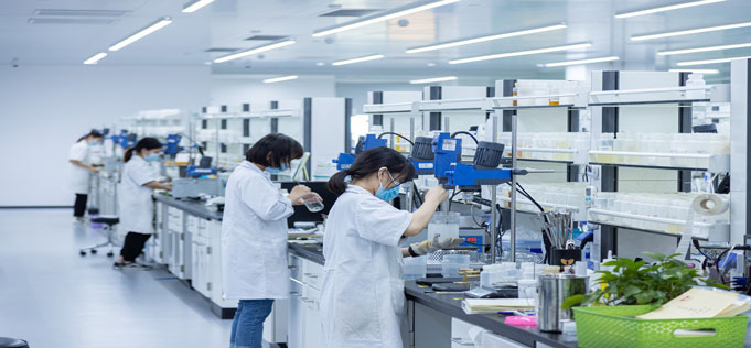 Research & Development